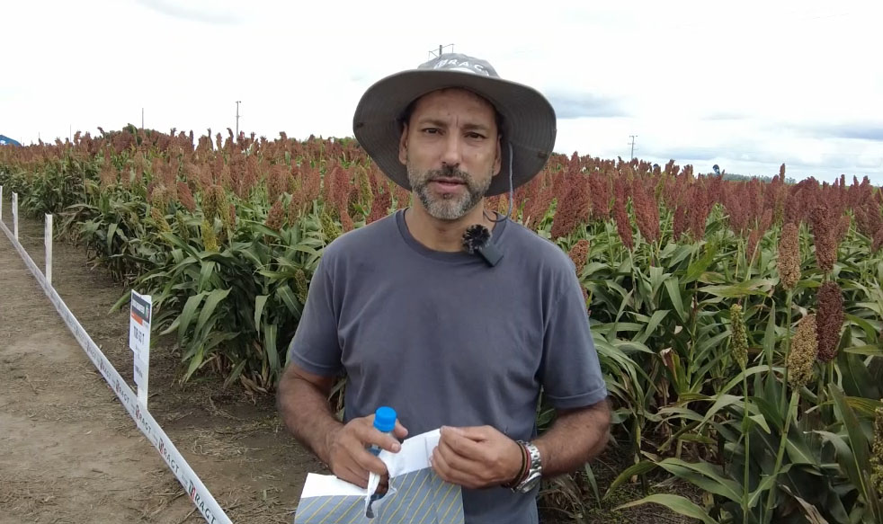 "Quedan pocos verdaderos productores, ahora todos son empresarios agropecuarios"